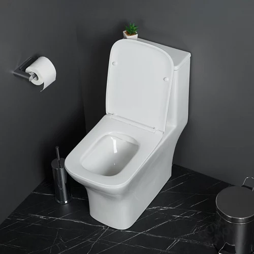 Фото Унитаз моноблок BelBagno Neon BB8617CPR-MN/SC безободковый купить в Чите: цена, описание, фото. Интернет-магазин 2